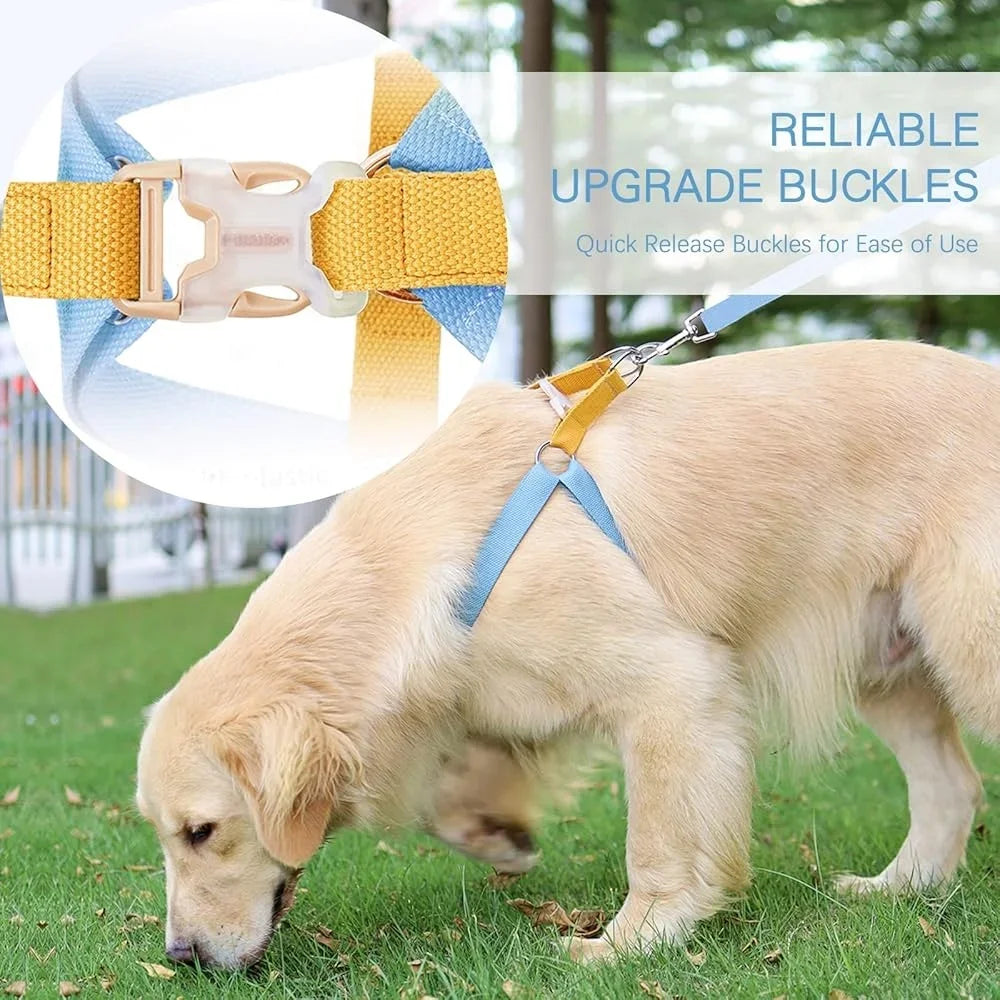 No Pull Dog Harness Set Adjustable Lightweight Cotton Halter with Leash Dog Collar Poop Bag Holder Escape-Proof Step-In Design