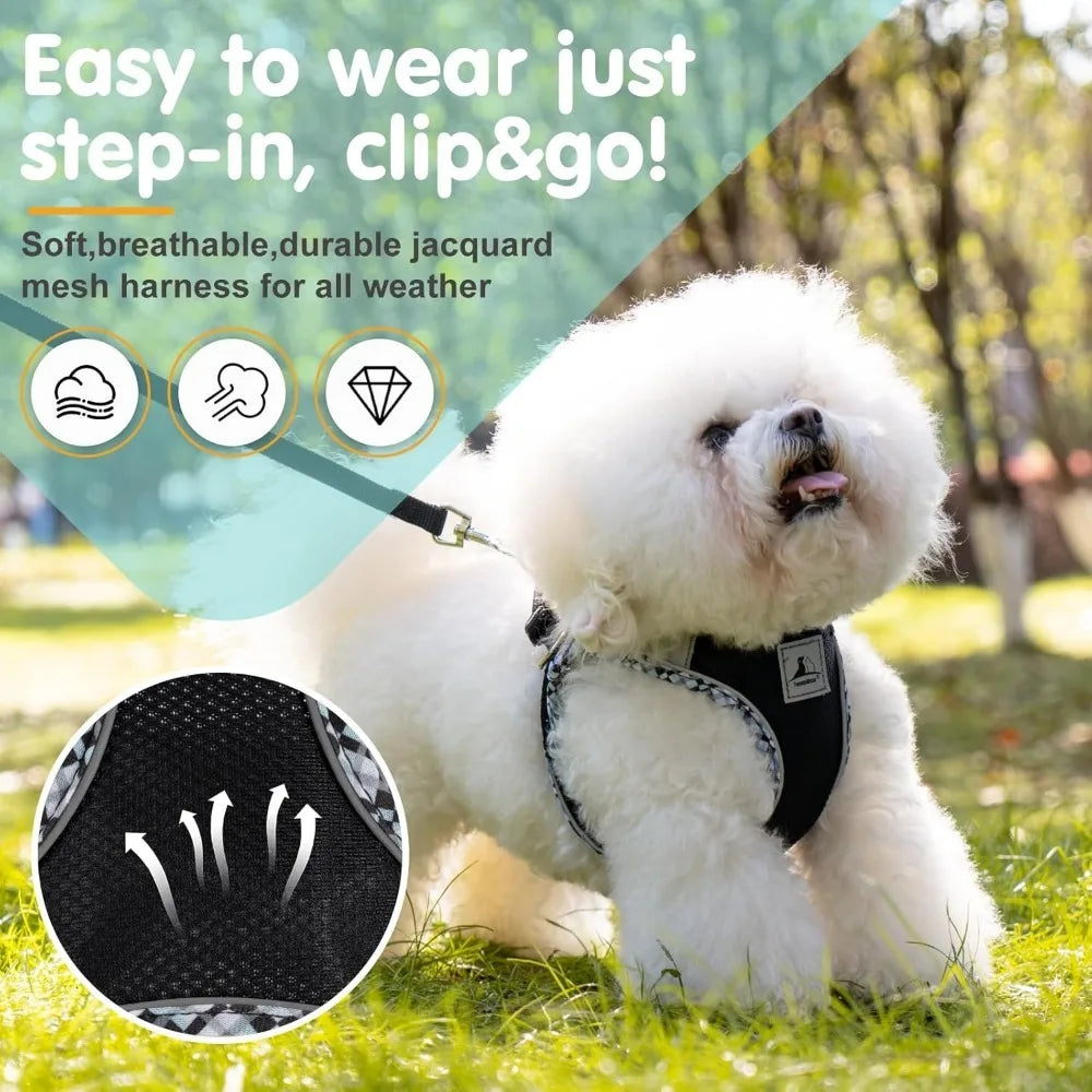 Dog Harness and Leash Set, No Pull Pet Harness for Small Dogs Easy Walking,Soft Breathable Small Dog Harness