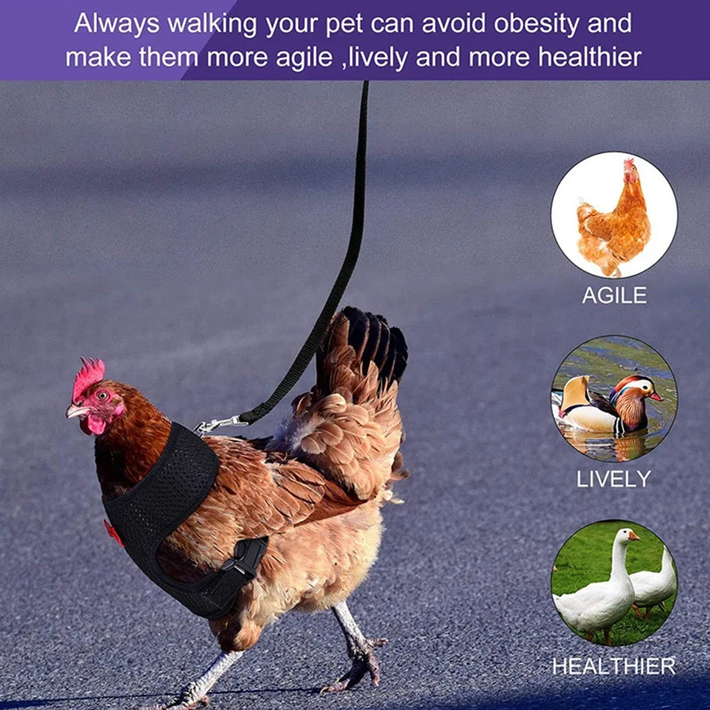 Fashion Chicken Duck Vest Hen Belt Pet Harness Matching Collars Bow Comfortable Leads Mesh Breathable Poultry Supplies Leash