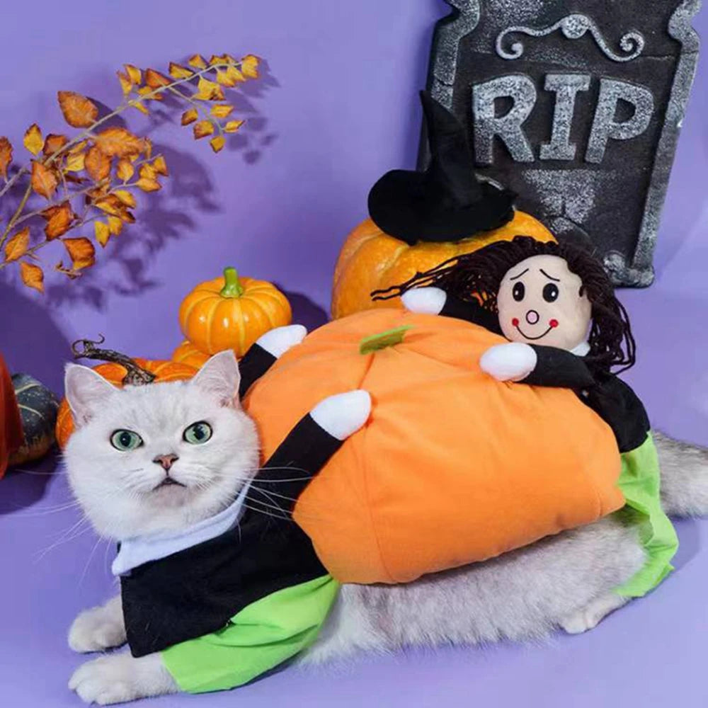 Funny Pet Cosplay Costume Small Medium Dog Leotard Coat Halloween Christmas Clothing Cat Pumpkin Transfiguring Dog Cute