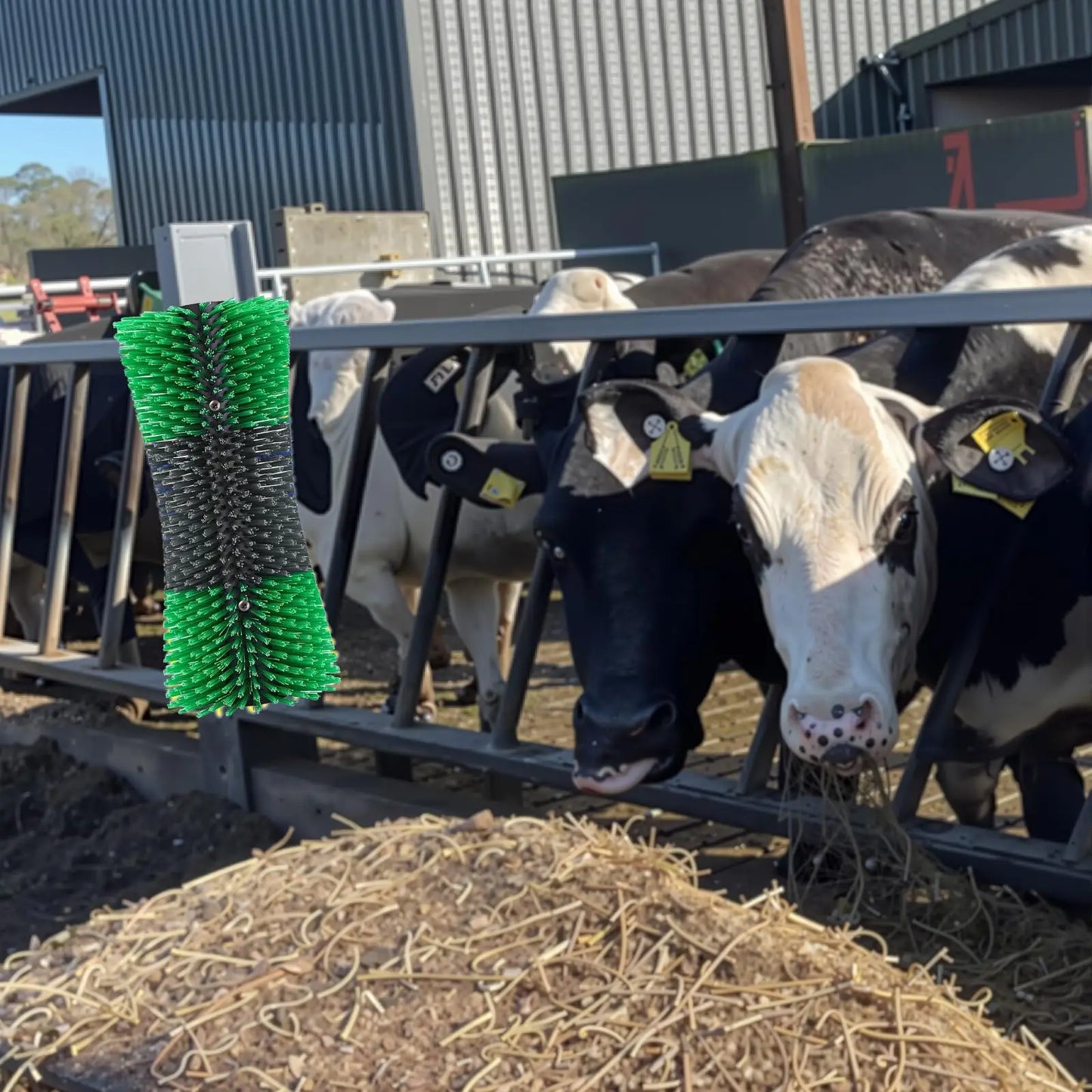 Horse Hair Brush Kit, Horsehair Brush, Horse Grooming Brushes, Horse Brushes For Grooming & Scratching Post For Horse, Pig