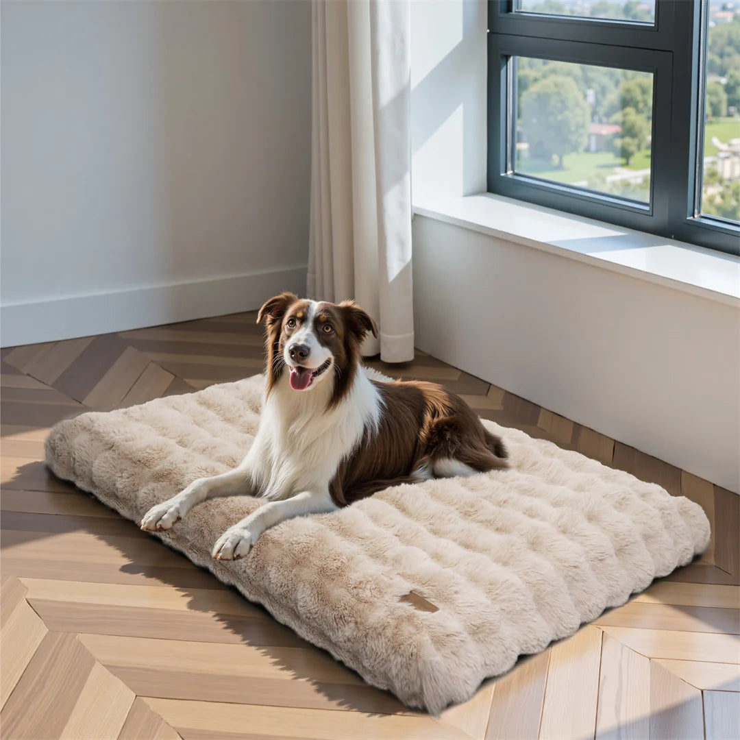 BINGOPAW Ultra-soft Dog Bed Pet Cozy Sleep Bed Cat Calming Bed Cushion Cover With Removable Cover Machine Washable