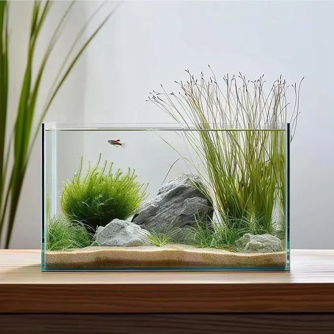 3 Gallon Glass Aquarium for Betta Goldfish Snails Shrimp