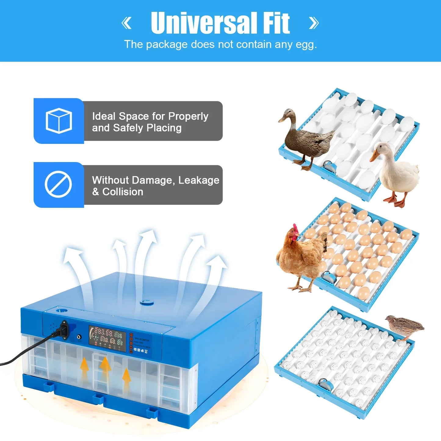 Incubator, 64 Egg Incubator 110V/12V Blue Incubator Automatic Smart Household Mini Chicken Egg Water Bed Incubator Box