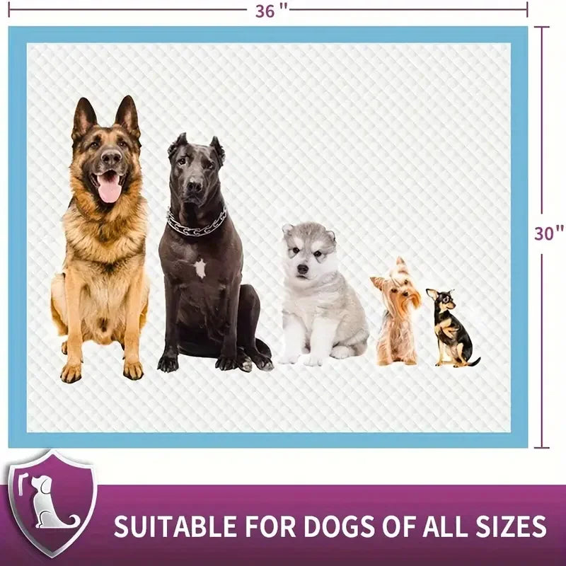 XXL Dog Pee Pads | 30"X36" Premium Disposable Dog Training Pads | Super Absorbency | Blue Extra Strength Leak-Proof