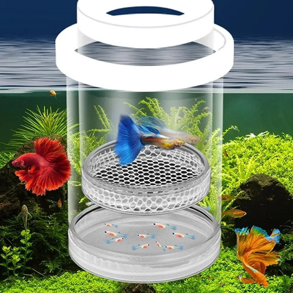 Floating Fish Breeding Isolation Box Fish Tank Hatching Incubator Small Fish Birthing Room Incubator Aquarium Breeder Accessory