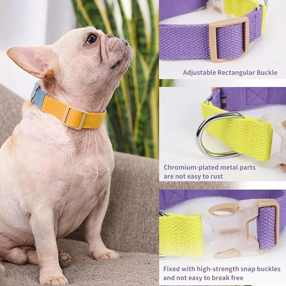 No Pull Dog Harness Set Adjustable Lightweight Cotton Halter with Leash Dog Collar Poop Bag Holder Escape-Proof Step-In Design