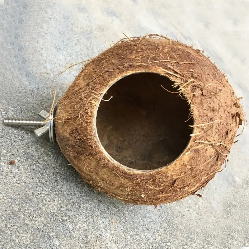 Natural Coco Hideaway Parrot Birds Reptile Coconut Shell Bird Nest Cage Hanging Toy for Budgies Parakeet Cockatiels Hamste House