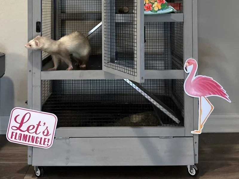 5-layer Small Animal Cage, Suitable for Chinchillas, Hedgehogs, Squirrels, Chameleons, Lizards, Gerbils, Bite-proof