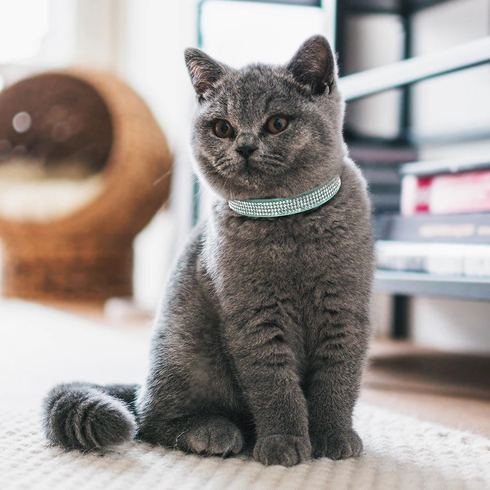Rhinestone Bling Soft Pink Suede Cat Collar with Bell Safety Breakaway Buckle Adjustable XS/S Sizes for Kitten