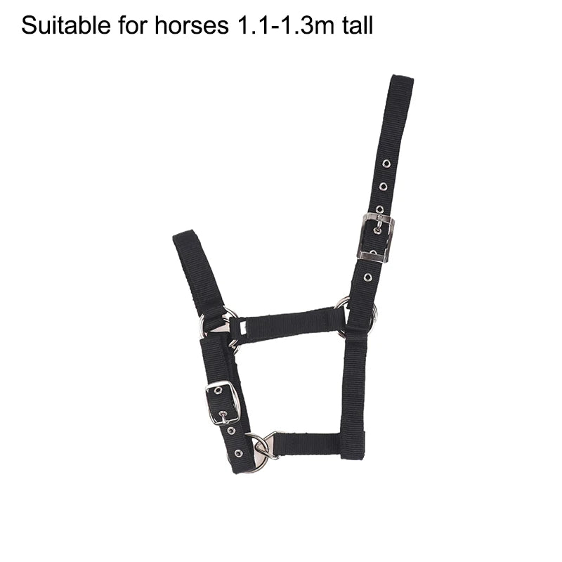 Adjustable Nylon Webbing Equestrian Western Horse Halter Horse Riding Wear Black XS S M L XL Ergonomic Comfortable Halters