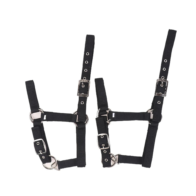 Adjustable Nylon Webbing Equestrian Western Horse Halter Horse Riding Wear Black XS S M L XL Ergonomic Comfortable Halters