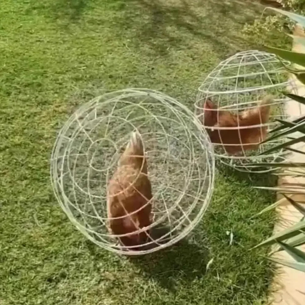3pcs Walking Chicken Cage Safety Spherical Chicken Rolling Ball Chicken Hamster Ball Cage Free Range Can Roll and Walk To Feed