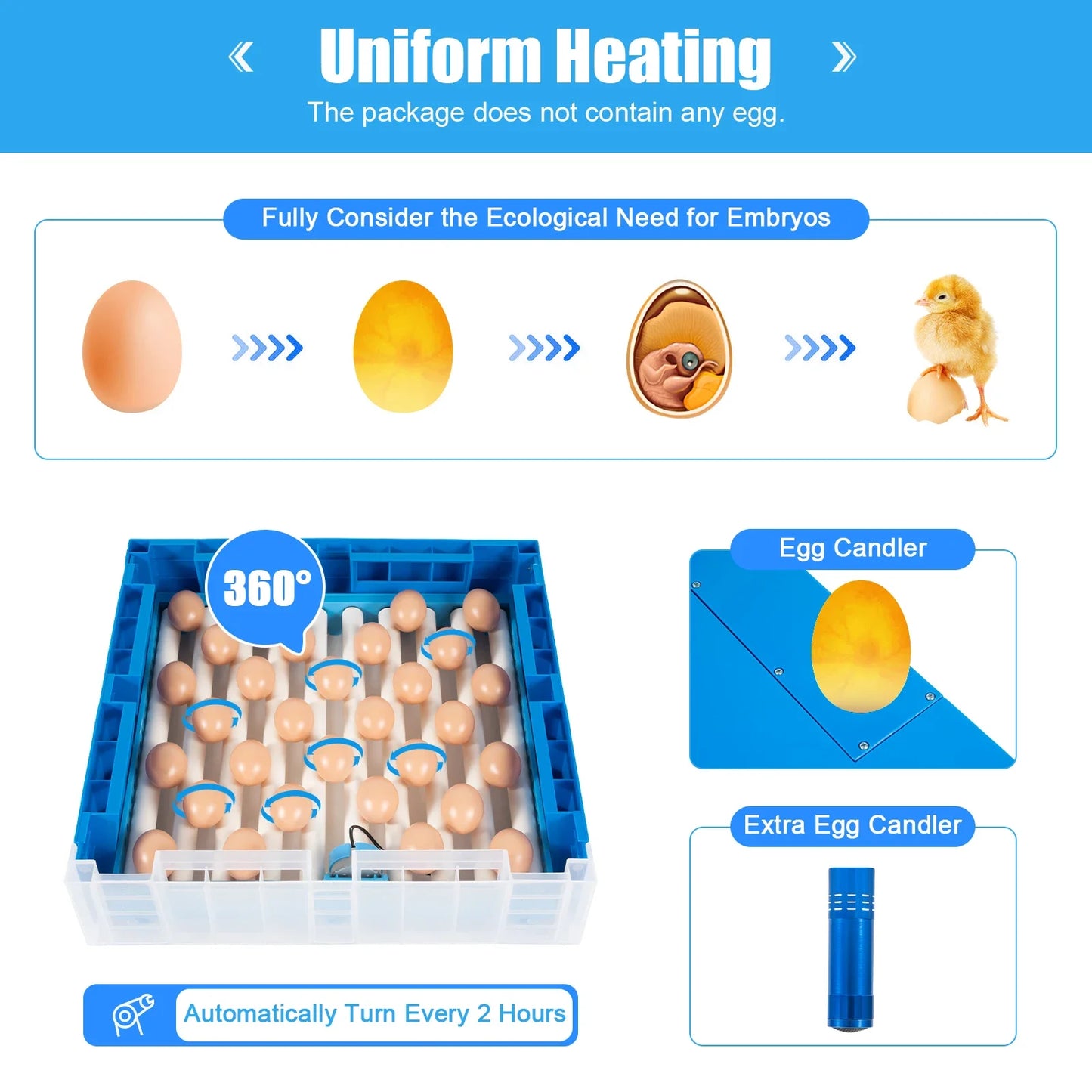 Incubator, 64 Egg Incubator 110V/12V Blue Incubator Automatic Smart Household Mini Chicken Egg Water Bed Incubator Box