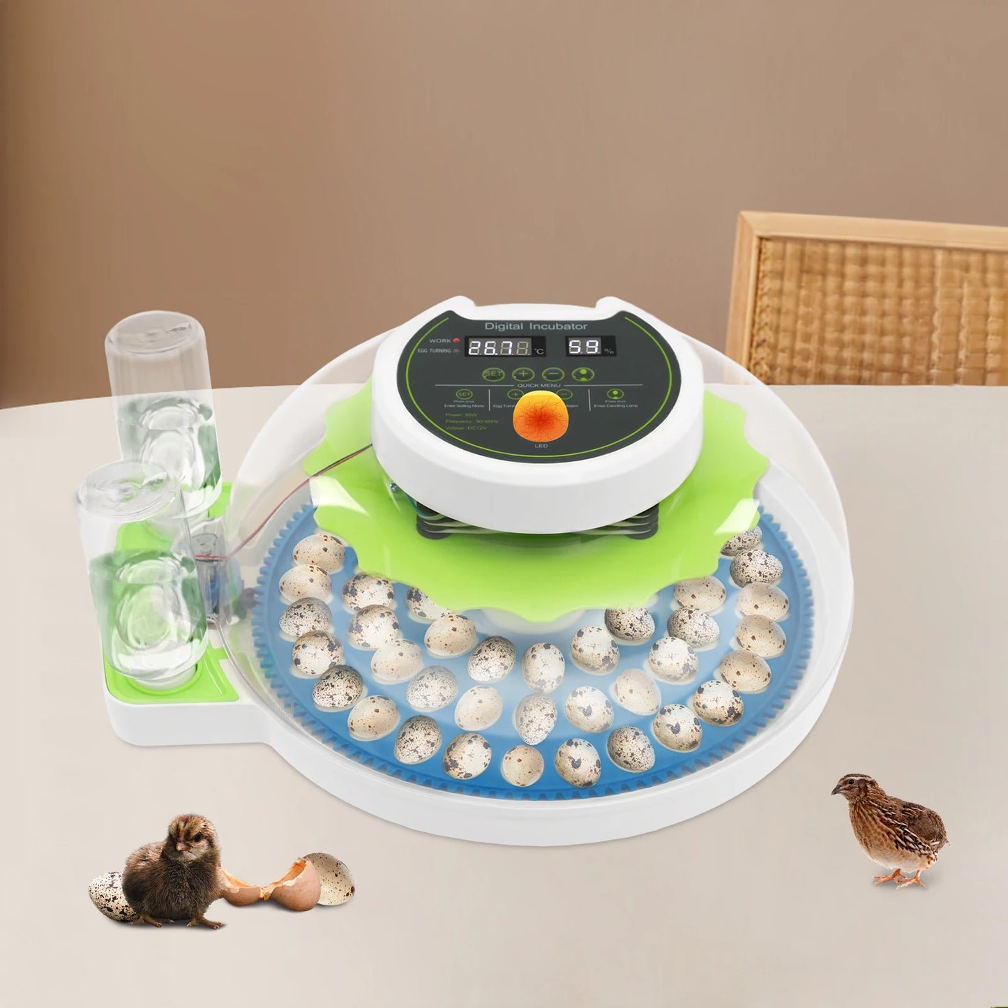 Small Incubator for 60 Small Eggs, Automatic Water Replenishment and Temperature Control Incubator, Outdoor Poultry