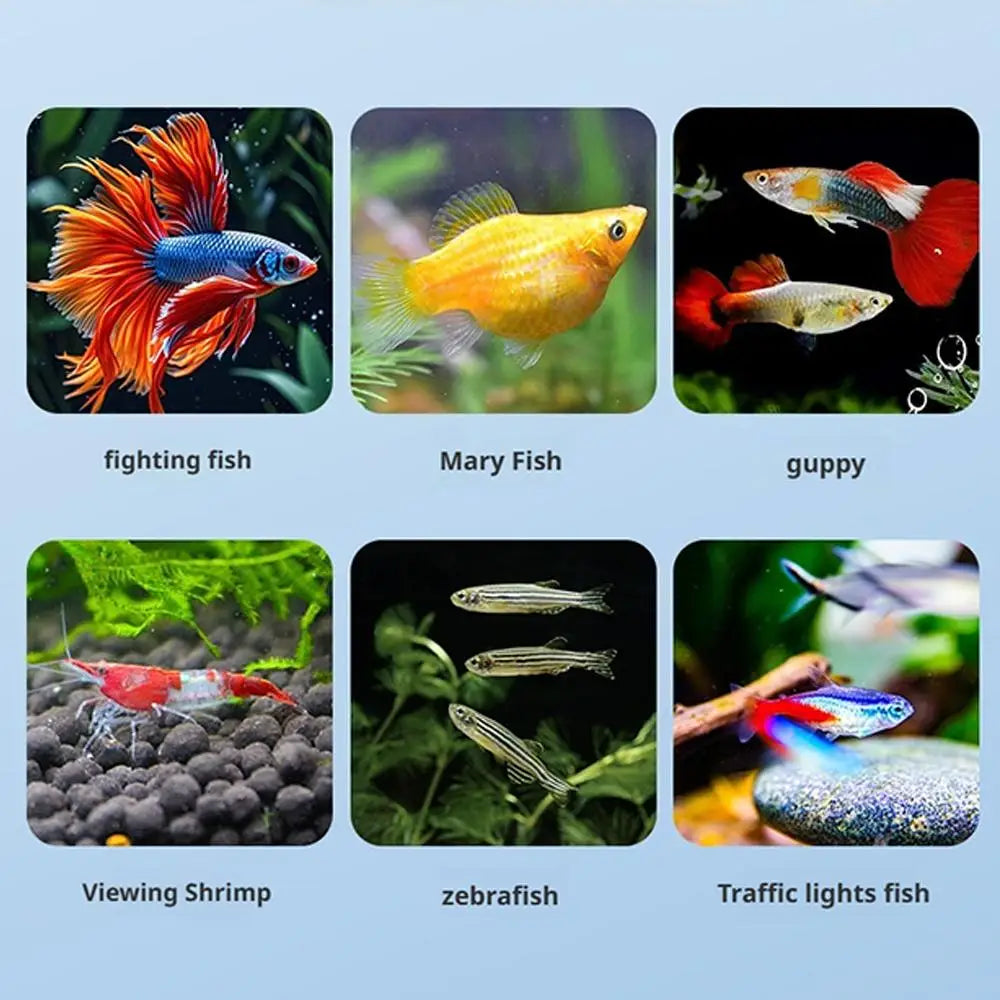 Floating Fish Breeding Isolation Box Fish Tank Hatching Incubator Small Fish Birthing Room Incubator Aquarium Breeder Accessory