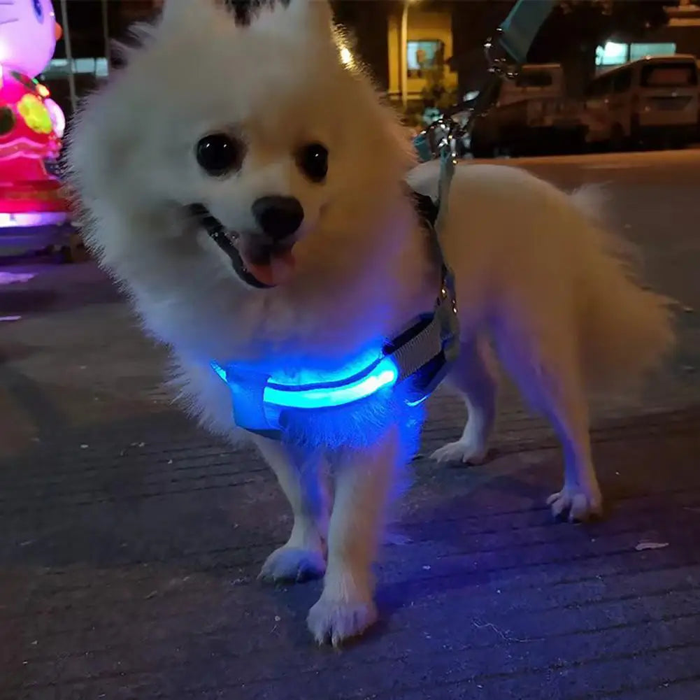 Adjustable LED Pet Harness USB Rechargeable Light Up Dog Harness Glow-in-The-Dark Safety Vest For Small Medium Dogs Pets Arnes
