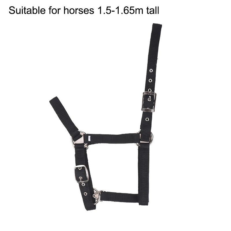 Adjustable Nylon Webbing Equestrian Western Horse Halter Horse Riding Wear Black XS S M L XL Ergonomic Comfortable Halters