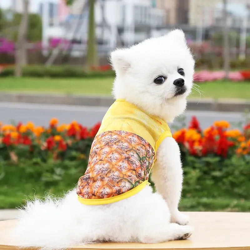 Cartoon Print Cotton Pet Apparel - 3-Season Vests/Coats/Shirts for Dogs & Cats