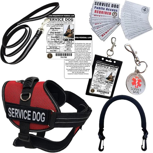 ActiveDogs Full Service Dog Kit - Service Dog Vest Harness with Handle ID Holder Medical Alert Keychain Leash Patches - Large S
