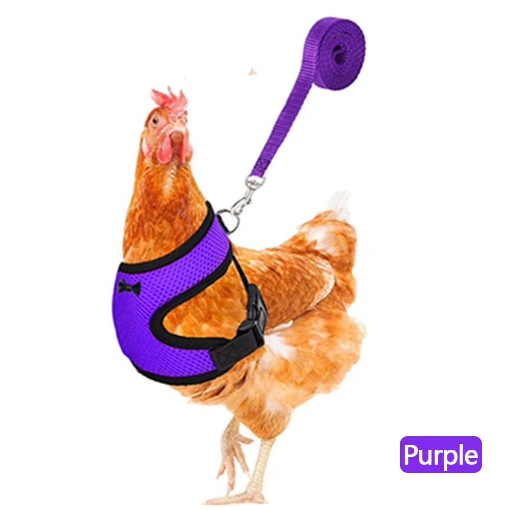 Fashion Chicken Duck Vest Hen Belt Pet Harness Matching Collars Bow Comfortable Leads Mesh Breathable Poultry Supplies Leash