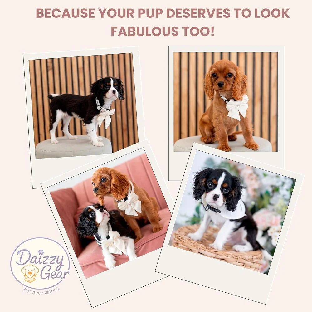 Medium Dog Harness Set No Pull Matching Leash Collar Bow Bandana Poop Bag Holder Breathable Mesh Hearts