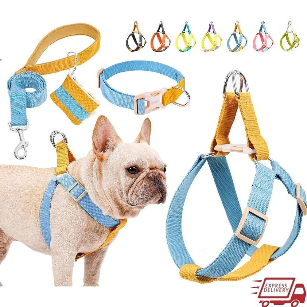 No Pull Dog Harness Set Adjustable Lightweight Cotton Halter with Leash Dog Collar Poop Bag Holder Escape-Proof Step-In Design