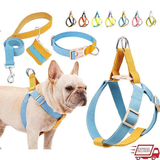 No Pull Dog Harness Set Adjustable Lightweight Cotton Halter with Leash Dog Collar Poop Bag Holder Escape-Proof Step-In Design