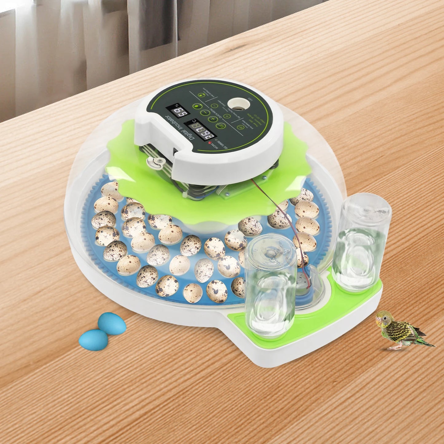 Small Incubator for 60 Small Eggs, Automatic Water Replenishment and Temperature Control Incubator, Outdoor Poultry