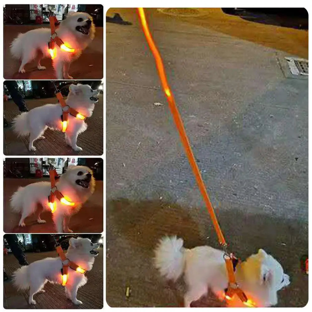 Adjustable LED Pet Harness USB Rechargeable Light Up Dog Harness Glow-in-The-Dark Safety Vest For Small Medium Dogs Pets Arnes