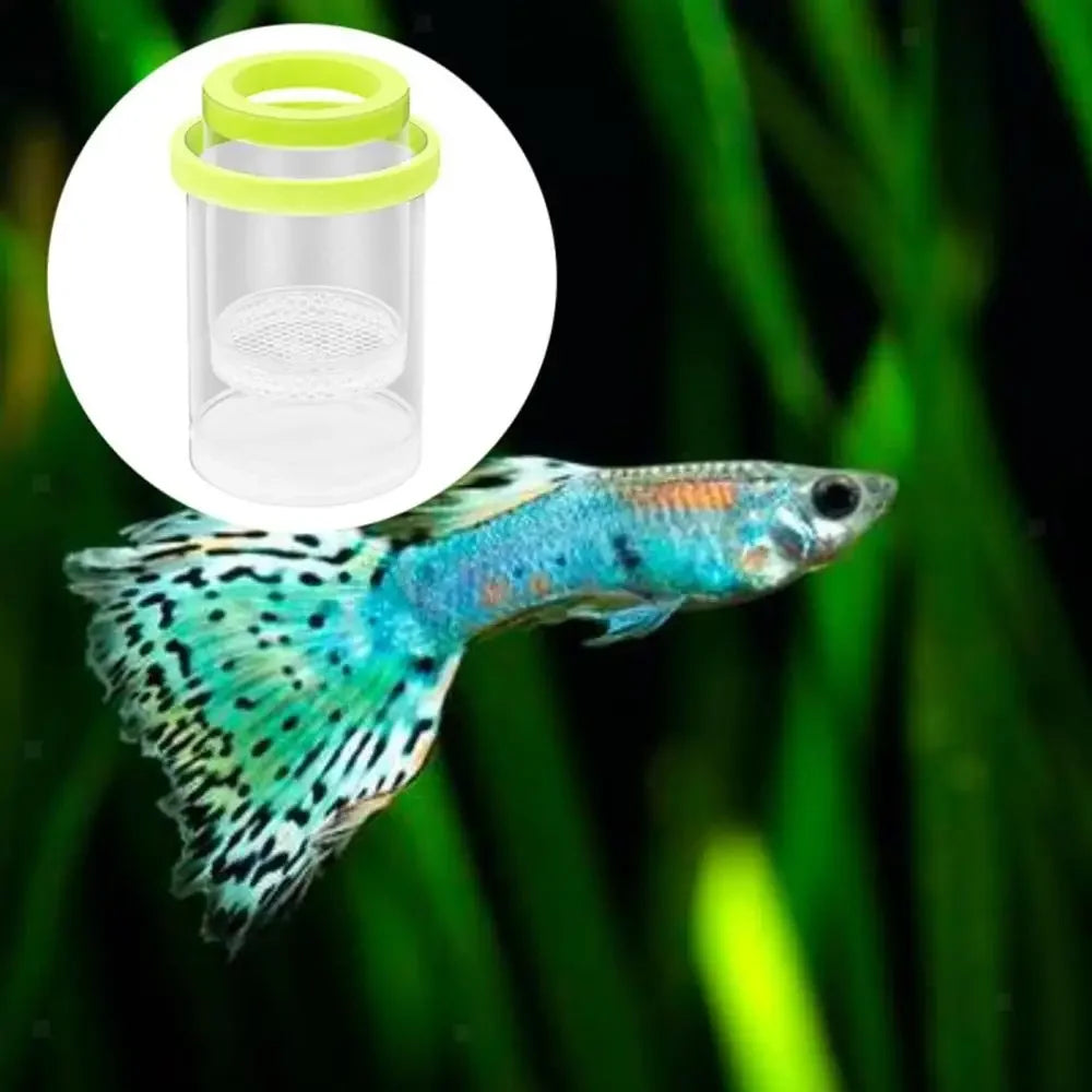 Floating Fish Breeding Isolation Box Fish Tank Hatching Incubator Small Fish Birthing Room Incubator Aquarium Breeder Accessory