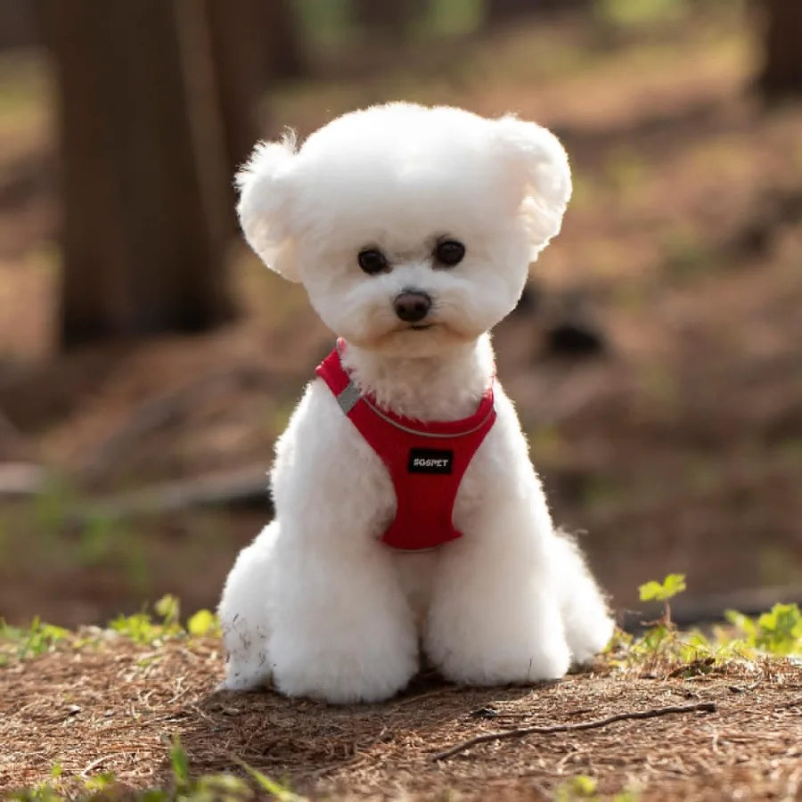 Dog Harness Dog Breathable Mesh Harness Vest Collar Soft Chest Strap Leash Set All Weather Mesh Adjustable Reflective Puppy Har