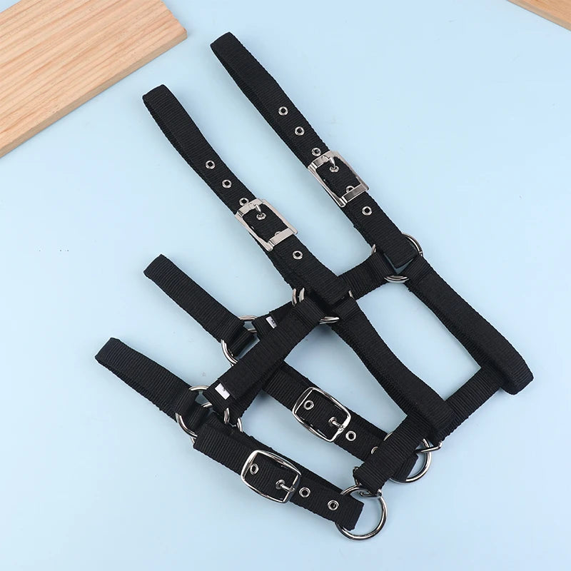 Adjustable Nylon Webbing Equestrian Western Horse Halter Horse Riding Wear Black XS S M L XL Ergonomic Comfortable Halters