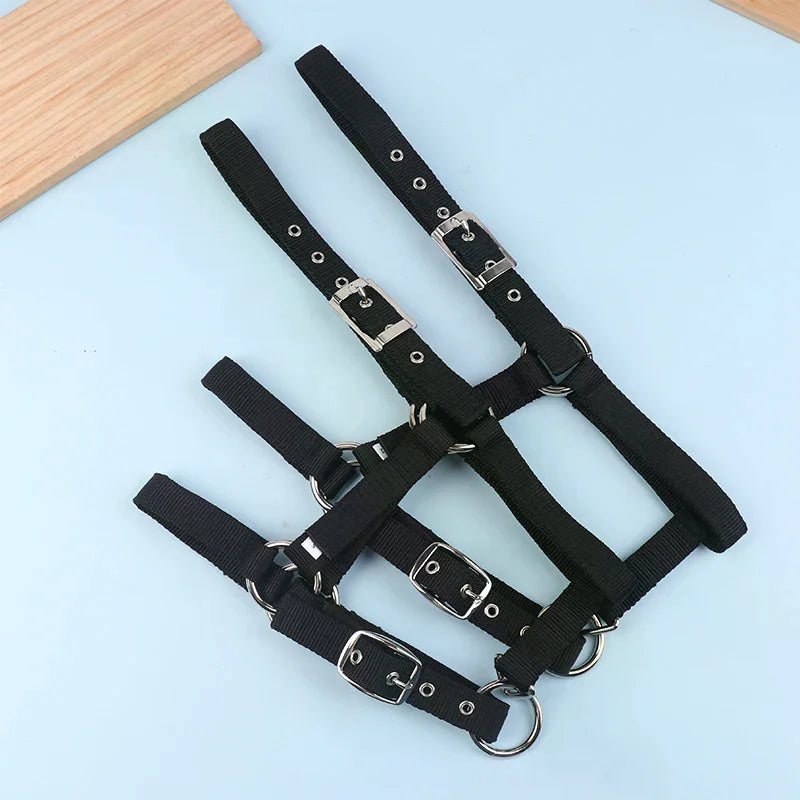 Adjustable Nylon Webbing Equestrian Western Horse Halter Horse Riding Wear Black XS S M L XL Ergonomic Comfortable Halters