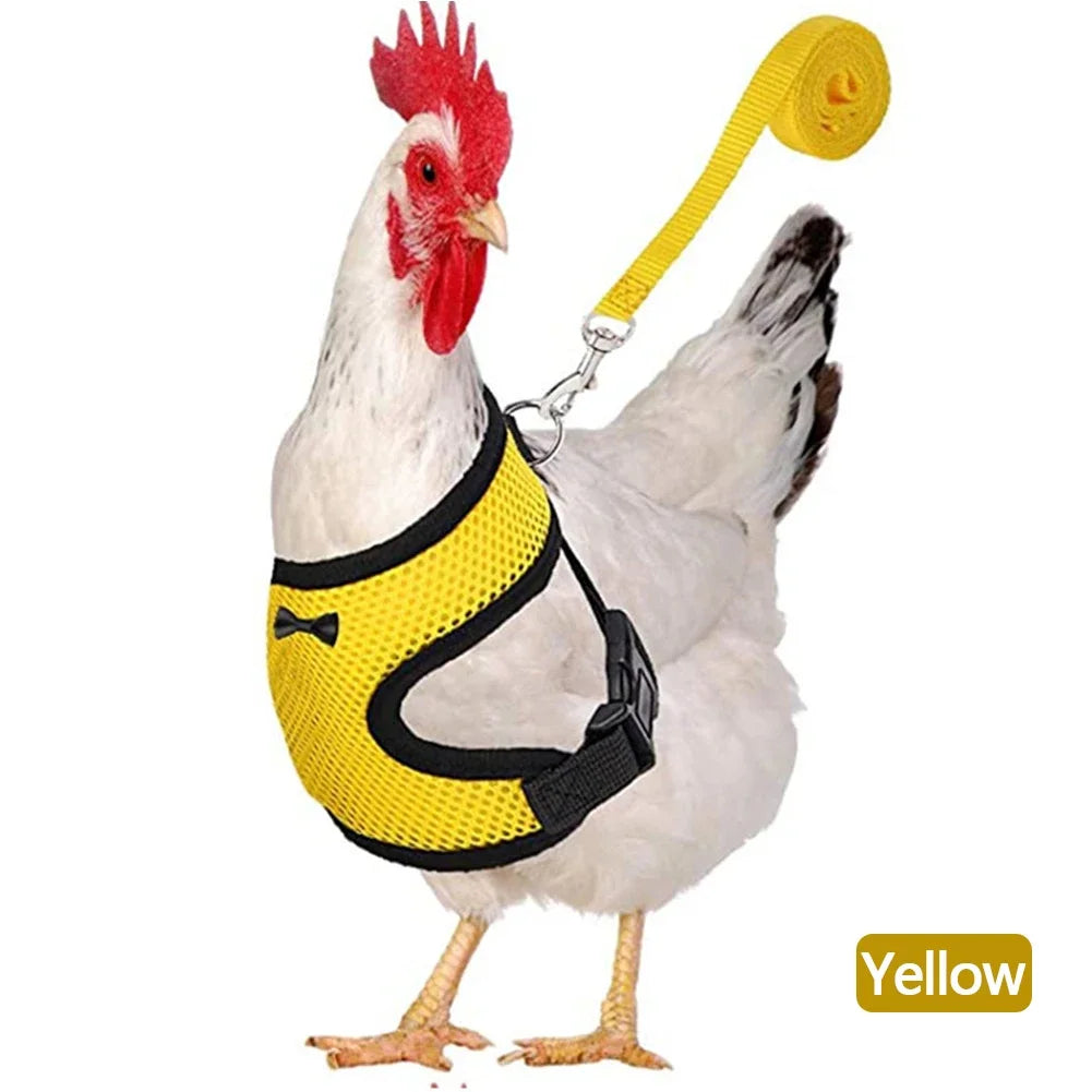 Fashion Chicken Duck Vest Hen Belt Pet Harness Matching Collars Bow Comfortable Leads Mesh Breathable Poultry Supplies Leash