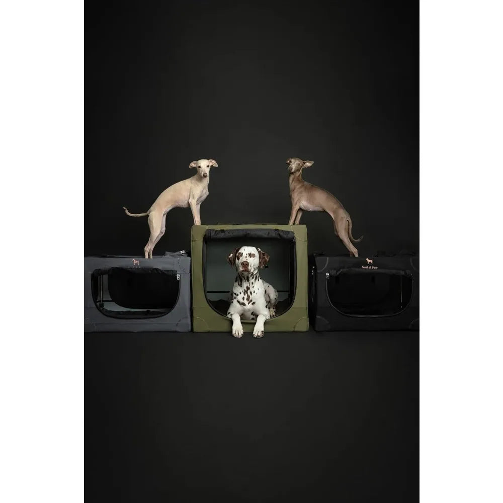 Noah & Paw Collapsible Dog Crate 36 Inches, XL Dog Crate for XL, Large Medium Breed, Travel Kennel for Car, Includes Pet Mat for